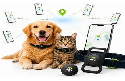Rastreador GPS para perros sin abono mensual con geolocalización directa al celular