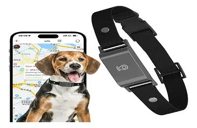 Collar GPS tradicional con rastreo satelital activo en tiempo real para perros