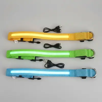 Collar LED Recargable USB