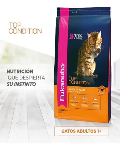 Eukanuba Gato Adulto Top Condition 7,5 Kg