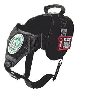 Equipamiento táctico de paseo, bozales y arneses